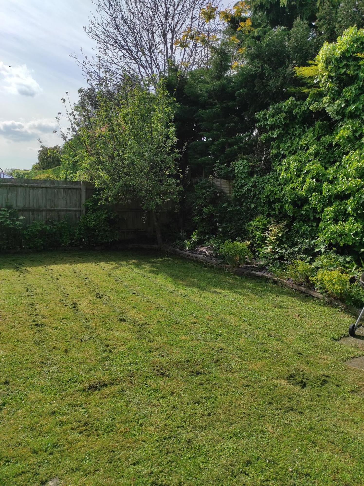 Number 8 With Free Parking Villa Bury St. Edmunds Dış mekan fotoğraf